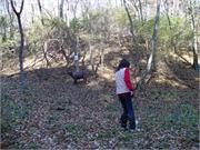 Szekszard 2010.10.30 019